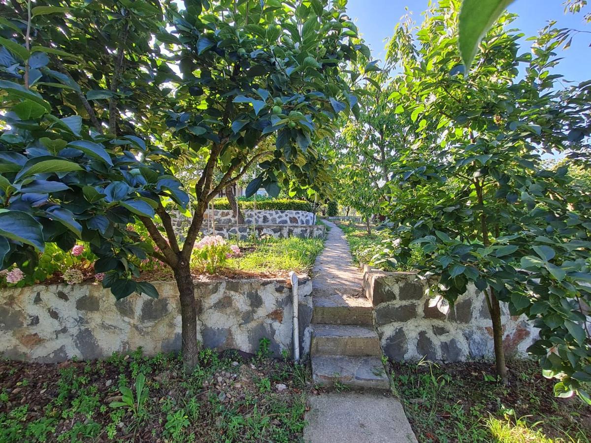 Bizim Ev Villa Сапанджа Екстериор снимка